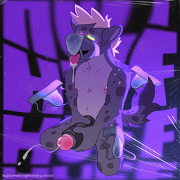 anthro aroused blonde_hair bodily_fluids clothing drooling genital_fluids genitals glans grey_body hair humanoid_genitalia humanoid_penis jockstrap jockstrap_on_face jockstrap_sniffing male markings musk nipples penis pink_glans pink_nipples pink_penis_tip precum saliva sex_toy sniffing sniffing_clothes solo spots spotted_body stroking_penis sweat tail tongue underwear underwear_sniffing gayandfragile calahoo_(calahootheyeen) hyena mammal spotted_hyena 1:1 animated loop no_sound short_playtime webm