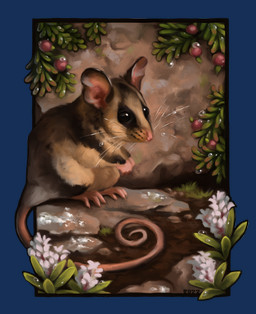 black_eyes brown_body brown_fur dirt feral flower fur grass grey_body grey_fur long_tail pink_nose plant quadruped realistic rock solo tail whisker_spots whiskers white_body white_fur alexpahomov mountain_pygmy_possum 2022 alpha_channel digital_media_(artwork) digital_painting_(artwork) hi_res painting_(artwork)