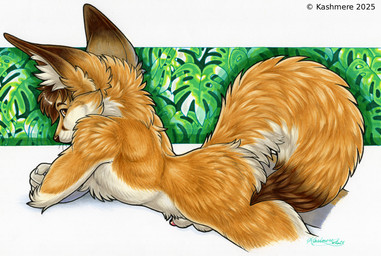 animal_genitalia anthro arm_tuft balls brown_eyes brown_hair chest_tuft claws dipstick_tail elbow_tuft finger_claws fluffy fluffy_tail fur genitals hair inner_ear_fluff leaf lipsticking looking_at_viewer looking_back looking_back_at_viewer lying male markings neck_tuft nude_anthro nude_male on_front penis penis_tip plant pointy_ears prick_ears sheath solo tail tail_markings tan_body tan_fur text tuft whisker_spots whiskers white_body white_fur kashmere canid canine fennec_fox fox mammal true_fox 2025 artist_name signature traditional_media_(artwork)
