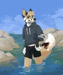 anthro black_bottomwear black_clothing black_ears black_markings black_nose blue_clothing blue_eyes blue_hoodie blue_topwear bottomwear clothed clothing cloud day front_view fur grin head_tuft hoodie looking_at_viewer male markings outside partially_submerged rock smile solo standing tan_body tan_fur topwear tuft white_body white_fur corzh77 canid mammal absurd_res hi_res