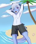 anthro beach bivalve_shell clothing countershading detailed_background femboy grey_hair hair male mollusk_shell multicolored_body one_eye_closed outside palm_tree plant purple_eyes raised_arms seaside shell sky solo standing swimming_trunks swimwear tail tree two_tone_body undressing water garunsfw mythology ren_itsuki dragon mythological_creature mythological_scalie scalie absurd_res hi_res andromorph_(lore)