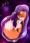 ambiguous_gender belly feral fluffy fluffy_tail fur lying on_back orange_body orange_fur pawpads sleeping solo star tail white_belly rukifox yumi_(yatofox) canid canine fox mammal hi_res