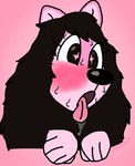 anthro black_nose blush blushing_profusely bodily_fluids breath brown_eyes brown_hair drooling excited fur hair multicolored_body multicolored_fur open_mouth panting pink_body pink_fur saliva solo sweat sweating_profusely tongue tongue_out two_tone_body two_tone_fur white_body white_fur lilygirlbeast lily_(husky)_(lilygirlbeast) canid canine canis domestic_dog husky mammal nordic_sled_dog spitz trans_(lore) trans_woman_(lore)