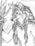 accessory anthro braided_hair claws hair hair_accessory hair_ring long_hair male nude outside sentry solo kyoht_luterman canid canine canis coyote mammal werecanid werecanine werecoyote werecreature 2002 graphite_(artwork) greyscale monochrome sketch traditional_media_(artwork)