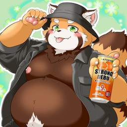 anthro belly big_belly biped brown_body brown_fur can clothed clothing container cute_fangs fangs fur hat headgear headwear humanoid_hands kemono male moobs nipples open_clothing open_shirt open_topwear overweight overweight_male shirt solo teeth tongue tongue_out topwear levan_zan canid canine mammal raccoon_dog tanuki 1:1 2025 hi_res