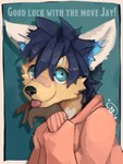 anthro band-aid bandage blep blue_eyes clothing fur hair looking_at_viewer male smile solo text tongue tongue_out sweetmacchi canid canine fox mammal 3:4 english_text hi_res