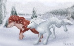 3_toes alpha_and_omega ambiguous_gender black_nose canine digitigrade duo eyes_closed feral fluffy_tail fur garth hair lilly markings outside raynaron red_fur red_hair running snow snowing socks_(marking) tree white_body white_fur white_hair winter wolf
Rating: Safe
Score: 2
User: UniversalLionsgate89
Date: August 28, 2013