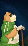 anthro bottomwear brown_body brown_fur clothing eyewear fur glasses humanoid_hands kemono male night outside pants slightly_chubby solo star boson62213 kuremura62213 lifewonders tokyo_afterschool_summoners volos_(tas) bear mammal 2020 hi_res