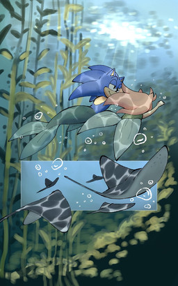 air_bubble alternate_form alternate_species anthro belly black_nose blue_body blue_fur blue_quills bubble closed_smile duo female fin fish_tail fur gills hair kelp legless looking_at_another male mermaid_tail mermaidification mouth_closed pink_body pink_fur pink_hair pink_quills pupils quill_hair quills_(anatomy) sea smile sonamy split_form swimming tail tail_fin tan_belly tan_hands tan_inner_ear tan_mouth underwater water arantarisu_yamu sega sonic_the_hedgehog_(series) amy_rose sonic_the_hedgehog aquatic eulipotyphlan fish hedgehog mammal merfolk ray_(fish) stingray 2026 5:8 comic hi_res