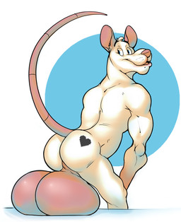 anthro backsack balls big_balls biped blue_background blue_eyes butt butt_tattoo circle_background eyebrows fur genitals head_tuft heart_tattoo huge_balls hyper hyper_balls hyper_genitalia leaning leaning_forward looking_back male male_anthro monotone_body monotone_fur nude nude_anthro nude_male open_mouth open_smile perineum pink_balls pink_ears pink_nose pink_tail presenting presenting_balls presenting_hindquarters simple_background smile solo standing tail tattoo three-quarter_view tuft whiskers white_background white_body white_fur hewge reito_(hewge) mammal murid murine rat rodent digital_drawing_(artwork) digital_media_(artwork) hi_res portrait shaded three-quarter_portrait
