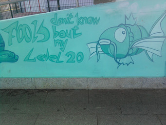 ambiguous_gender dirt duo fence feral graffiti photo real text zero_pictured unknown_artist nintendo pokemon generation_1_pokemon magikarp pokemon_(species) 4:3 english_text grandfathered_content hi_res picture_in_picture