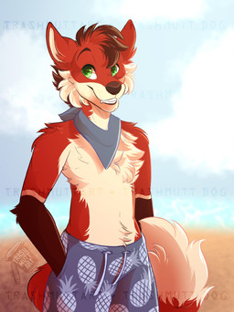 anthro beach clothing cloud green_eyes kerchief male sand sea sky smile solo swimming_trunks swimwear tail water trashmutt canid canine fox mammal absurd_res hi_res