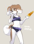 2024 adolescent anthro bikini black_pawpads breasts brown_background brown_body brown_eyes brown_fur canid canine canis character_name chest_tuft clothing corn domestic_dog eyebrow_through_hair eyebrows female flat_chested floppy_ears fluffy fluffy_tail food frilly frilly_clothing frilly_swimwear fur hair hi_res inukoro_(kikurage) kemono kikurage kishimoto_anna_(inukoro) looking_away mammal navel pawpads plant simple_background small_breasts solo swimwear tail translucent translucent_hair tuft white_body white_fur young
