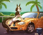 anthro car car_hood_pose female on_hood solo vehicle aviverine mazda mazda_miata mazda_mx-5 kras_(aviverine) canid canine fennec_fox fox mammal true_fox absurd_res hi_res