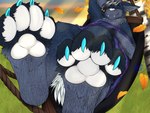 4_toes anthro autumn autumn_leaves barefoot bedding blanket claws eyes_closed falling_leaves feet fluffy_paws foot_focus fur hammock male pawpads paws presenting_pawpads solo teeth toe_claws toes mayawolf drakenstalk ferrin 4:3 hi_res signature