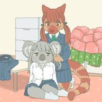 anthro clothed clothing duo female footwear kemono school_uniform socks uniform ekaki510 koala macropod mammal marsupial tree-kangaroo vombatiform 1:1