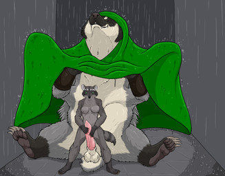 6_arms animal_genitalia anthro anthro_on_feral balls bestiality breasts claws clothing duo erection eyes_closed female female_anthro feral fur genitals green_eyes grey_body grey_fur handjob male male/female male_feral markings multi_arm multi_leg multi_limb nipples nude nude_anthro nude_female outside penile penis poncho raining semi-anthro sex sheath short_tail size_difference snout striped_markings striped_tail stripes tail tail_markings water strega bartleby_(strega) badger mammal mustelid musteline procyonid raccoon hi_res