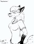 anthro breasts clothed clothing female fur gloves_(marking) hair markings solo whiskers style_wager dela_the_hooda dela_aldershaw canid canine fox hooda mammal 1999 black_and_white monochrome