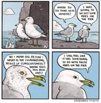 4_panel_comic ambiguous_gender beak border cliff cloud day dialogue duo existential_crisis feathers feral grey_body grey_feathers humor hungry outside philosophy rock sea sky speech_bubble text water white_body white_border white_feathers yellow_beak yellow_eyes falseknees avian bird gull lari larid 2018 comic compression_artifacts english_text