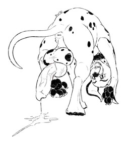 4_toes animal_genitalia animal_penis anus balls bodily_fluids butt canine_genitalia canine_penis claws cum erection feet feral genital_fluids genitals hindpaw knot male messy pawpads paws penis solo spots toes tongue conditional_dnp psy101 101_dalmatians disney pongo canid canine canis dalmatian domestic_dog mammal hi_res monochrome
