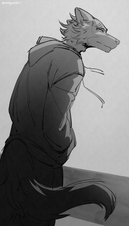 anthro bottomwear clothed clothing hand_in_pocket hoodie male male_anthro mouth_closed narrowed_eyes pants pockets simple_background solo standing topwear cobu beastars legoshi_(beastars) canid canine canis mammal wolf hi_res monochrome sketch