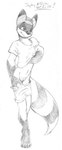 andromorph anthro biped bottomwear clothing genitals intersex pussy shirt shorts simple_background solo standing tail topwear white_background chuck_davies ferris mammal procyonid raccoon 2000 greyscale line_art monochrome sketch traditional_media_(artwork)