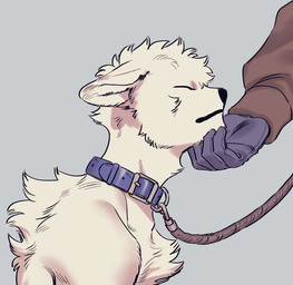 ambiguous_gender anthro back_tuft blue_collar chest_tuft clothing collar disembodied_hand duo ears_back eyes_closed fluffy fur gloves grey_background handwear leash leashed_collar male petting pivoted_ears rubbing_chin side_view simple_background tuft white_body white_fur submori_521 cren canid canine canis mammal wolf