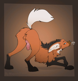 animal_genitalia animal_penis balls black_claws black_nose blue_eyes brown_balls brown_body brown_fur canine_genitalia canine_penis claws feral fur genitals knot knotted_penis male penis solo tail tail_motion tailwag white_tail magenta7 canid canine mammal maned_wolf animated hi_res