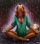 anthro aura biped breasts crosslegged_pose deep_cleavage enlightenment female glowing meditation medium_breasts outside raining singo sitting solo spiritual spirituality tail water wet kappy canid canine canis domestic_dog mammal 2011