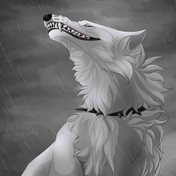 ambiguous_gender black_collar black_nose blue_eyes cheek_tuft collar ears_back facial_tuft fangs feral fur grin narrowed_eyes neck_tuft pivoted_ears raining smile solo spiked_collar spikes teeth tuft whiskers white_body white_fur msdeadsoul canid canine mammal 1:1 absurd_res hi_res