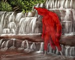 animal_genitalia anthro beak cloaca feathers flowing_water fog genitals landscape leaf male plant red_body red_feathers rock solo standing tree water waterfalls yenocwolf birdtember vermilion_cardinal 5:4 absurd_res hi_res