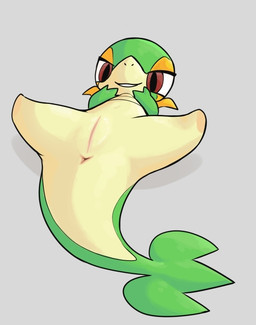 anus female feral genitals innie_vulva looking_at_viewer lying on_back presenting presenting_anus presenting_vulva sassy shadow smile solo spread_legs spreading vulva konen nintendo pokemon generation_5_pokemon pokemon_(species) snivy colored digital_media_(artwork) shaded