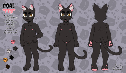 andromorph anthro big_clitoris clitoris cute_fangs description fangs genitals humanoid_genitalia inner_ear_fluff intersex looking_at_viewer navel nipples open_mouth open_smile pawpads paws smile solo stated_age teeth text tuft vulva young young_andromorph young_intersex blackcatboy coal_(blackcatboy) domestic_cat felid feline felis mammal absurd_res artist_name english_text hi_res model_sheet watermark andromorph_(lore) trans_(lore) trans_man_(lore)