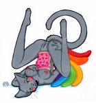 anthro big_breasts black_nose blush breasts clothing eyebrows female food food_print fur genitals green_eyes looking_at_viewer multicolored_clothing nipples nude pink_nipples pink_pussy pink_tongue pose presenting pussy rainbow rainbow_clothing rainbow_trail simple_background solo tail tongue tongue_out whiskers white_background tierafoxglove nyan_cat_(copyright) pop-tarts nyan_cat domestic_cat felid feline felis mammal meme pinup