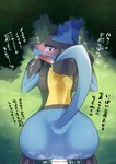 anal anal_penetration duo human_penetrating male male/male male_focus penetration sex solo_focus text mommomma114 nintendo pokemon generation_4_pokemon human lucario mammal pokemon_(species) japanese_text