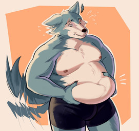 anthro belly_grab bodily_fluids bulge clothed clothing eye_scar facial_scar male moobs navel nipples overweight scar simple_background solo sweat sweatdrop tail tail_motion tailwag underwear underwear_only mochi_cream38 beastars legoshi_(beastars) canid canine canis mammal wolf hi_res