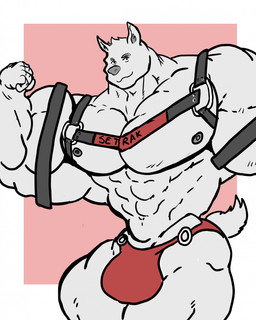 big_bulge big_muscles bulge harness huge_bulge huge_muscles hyper hyper_bulge hyper_muscles male muscular pose solo setrak canid canine mammal hi_res
