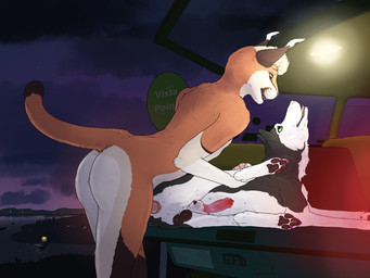 anal anal_penetration animal_genitalia animal_penis anthro anthro_on_feral anthro_penetrating anthro_penetrating_feral anus balls bestiality black_balls black_body black_ears black_fur butt canine_genitalia canine_penis car duo ear_tuft erection fangs feral feral_penetrated fur genitals green_eyes hair interspecies knot knot_in_sheath knotted_penis male male/male male_penetrated male_penetrating male_penetrating_male night nude open_mouth orange_body orange_fur outside penetration penile penile_penetration penis penis_in_ass pink_penis pink_tongue red_anus red_penis sex sheath sign teeth tongue tuft vehicle water whiskers white_body white_fur white_hair yellow_eyes sketchy_shelby alperion shelby_(sketchy_shelby) canid canine canis domestic_dog felid husky mammal nordic_sled_dog spitz 4:3 hi_res