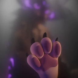anthro biped claws close-up depth_of_field feet foot_fetish foot_focus fur male pawpads paws solo toes stolenname lumin_(stolenname) canid canine fennix mammal 1:1 2026 3d_(artwork) 3d_animation animated blender_(artwork) blender_cycles_(artwork) digital_media_(artwork) no_sound short_playtime video