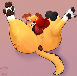 ahegao animal_genitalia animal_penis animal_vulva anus balls blush bodily_fluids brown_nose brown_pawpads brown_spots canine_genitalia canine_penis canine_vulva dark_anus dark_vulva disembodied_penis duo erection eyelashes female female_penetrated feral fur genital_fluids genitals knot knot_root knotted_penis long_eyelashes looking_pleasured male male/female male_penetrating male_penetrating_female markings pawpads paws penetration penile penile_penetration penis red_penis sex sheath spots spotted_body spotted_fur spotted_hips vaginal vaginal_fluids vaginal_fluids_on_penis vaginal_penetration vulva yellow_body yellow_fur nauticalcanine martha_speaks martha_lorraine canid canine canis domestic_dog mammal mixed_breed absurd_res hi_res