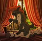 2019 anthro bed bedroom boxers_(clothing) claws clothed clothing collar day detailed_background dominant dominant_female drapes duo female female_on_human female_on_top flat_chested fur furniture genitals gnoll heart_boxers heart_clothing heart_symbol heart_underwear hi_res human human_on_anthro hyena interspecies kneeling larger_female leash looking_at_another lying male male/female male_on_anthro mammal markings nude on_back on_bed on_top pussy signature size_difference smaller_male smile spots spotted_body spotted_fur spotted_hyena teeth tent underwear underwear_only zafara_(artist)