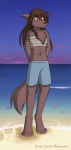 anthro beach biped blush bottomwear brown_hair canid canine canis chest_tuft chest_wraps clothed clothing colored conditional_dnp digitigrade female fur hair heterochromia keidran long_hair mammal natani navel outside seaside shorts solo standing tail tom_fischbach tuft twokinds wolf wraps