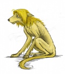 blonde_hair feral hair male sad simple_background solo tail white_background feriowind fullmetal_alchemist edward_elric canid canine canis chimera domestic_dog human hybrid mammal tucker_chimera_(fma)