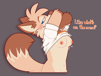 anthro asking asking_viewer blue_eyes breasts brown_body brown_fur clothed clothing clothing_lift countershading dialogue female fur grey_background looking_at_viewer navel nipples question question_mark questioning_tone shirt shirt_lift simple_background solo talking_to_viewer tan_body tan_fur text topwear yes-no_question flipyart flip_(flipyart) canid canine fox mammal 2020 english_text nonbinary_(lore)