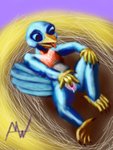 anthro avian_feet beak big_eyes blue_body blue_feathers bodily_fluids chest_tuft feathers feet female fingering flat_chested genital_fluids genitals masturbation pink_pussy pussy solo tail tail_feathers talons toes tongue tongue_out tuft vaginal_fluids modestwold avian bird bluebird oscine passerine thrush_(bird) beatrice_(disambiguation) 3:4 hi_res