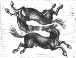 ambiguous_gender animal_genitalia duo feral genitals hooves humor imminent_kiss male open_mouth sheath teeth text upside_down karl_gustav_gjertsen equid equine horse mammal 2000 black_and_white monochrome traditional_media_(artwork) url