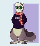 ambiguous_gender anthro bottomless bottomless_anthro clothed clothing domestic_ferret eyewear fluffy fluffy_tail glasses hi_res long_sleeve_shirt looking_at_viewer mammal milo_(slimyjaws) mustelid musteline nonbinary_(lore) scarf simple_background slimyjaws tail true_musteline weasel