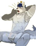 anthro bulge clothing detailed_bulge fur genital_outline grey_body grey_fur hair male open_mouth penis_outline sitting solo tail topwear underwear yawn yuuko891 benjamin_blue canid mammal 2024 hi_res