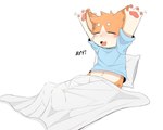 anthro bed_sheet bedding biped black_nose blue_clothing blue_shirt blue_t-shirt blue_topwear blush clothed clothing dipstick_ears ear_markings eyes_closed fangs fur hair happy male markings multicolored_ears navel open_mouth orange_body orange_fur orange_hair pawpads pillow pink_pawpads shirt solo spots spotted_body spotted_fur t-shirt tan_body tan_fur tan_inner_ear teeth tongue topwear kimacats kima_(kimacats) domestic_cat felid feline felis mammal absurd_res hi_res