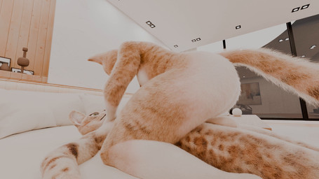 anthro bodily_fluids butt cowgirl_position cum cum_in_vagina cum_inside duo female from_front_position genital_fluids male male/female nude on_bottom on_top penetration sex vaginal vaginal_penetration abys5 domestic_cat felid feline felis mammal 16:9 animated hi_res high_framerate huge_filesize short_playtime sound video widescreen